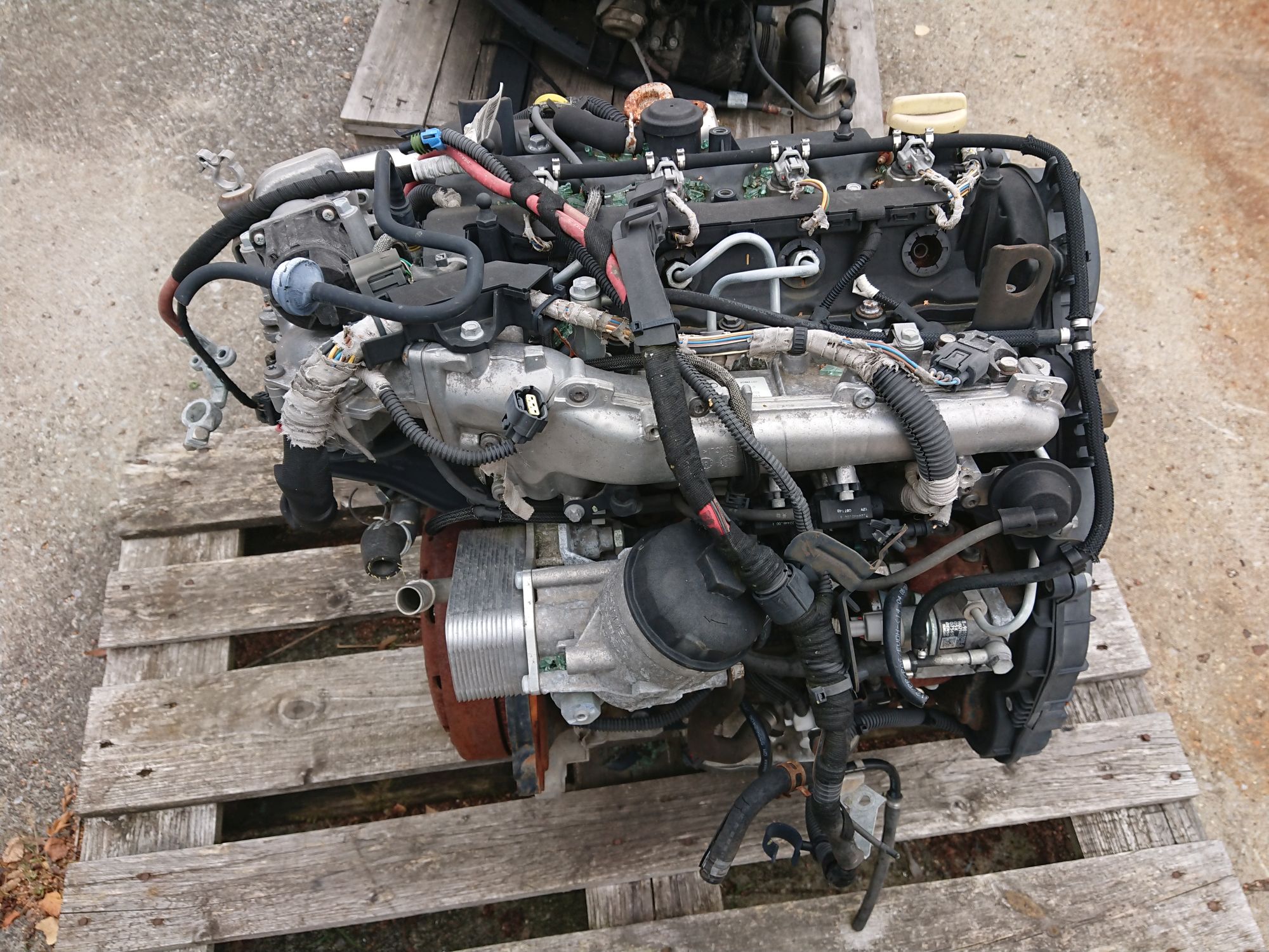 Motor aus Opel Astra H Caravan Code Z17DTJ GM 1833368 (gebraucht)