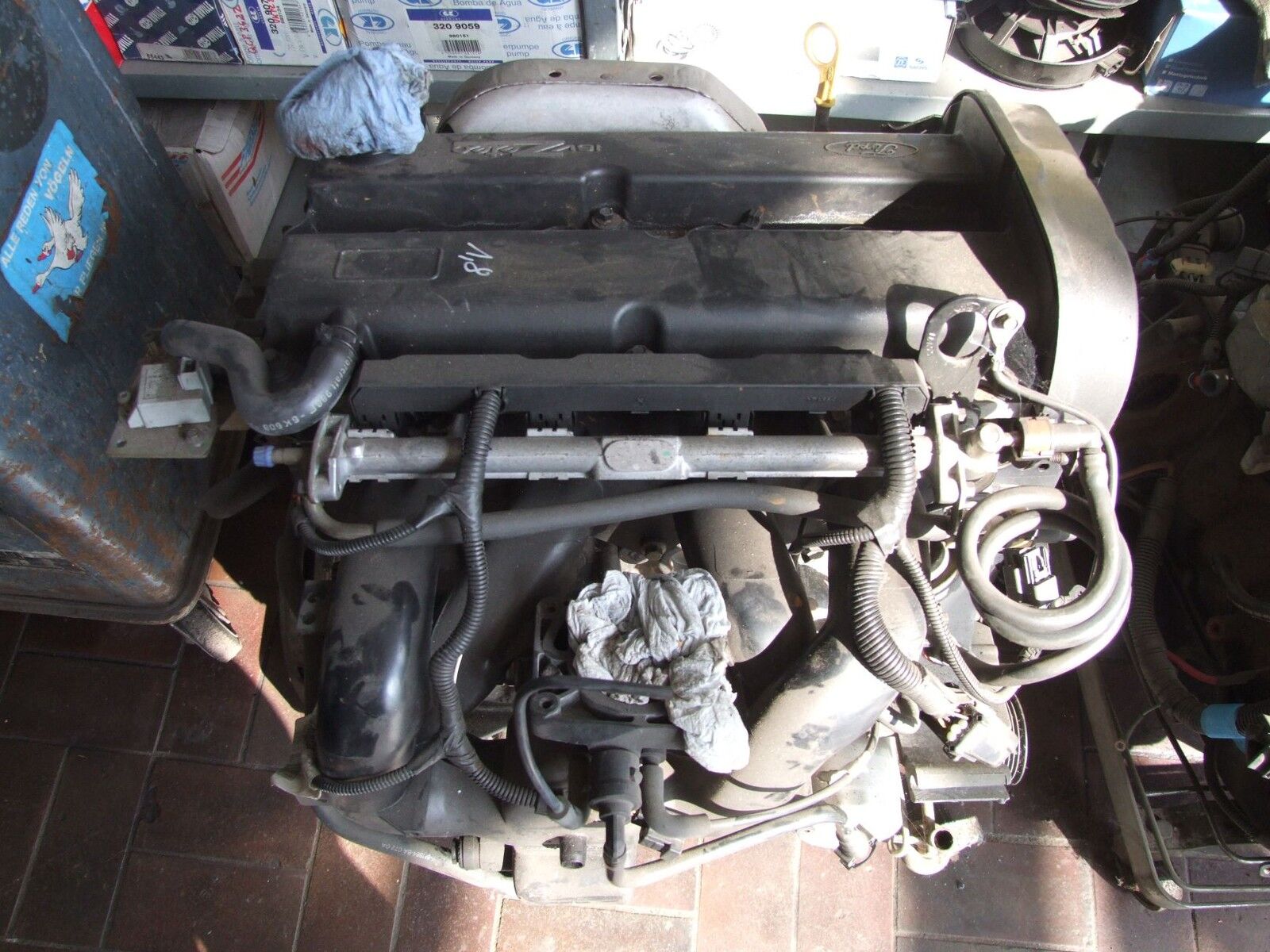 Motor aus Ford Focus Code EYDC Ford 1215878 / RMXS4G6006AA (gebraucht)